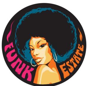 Overview of Funk’s styles and guitar chords – :>)azZTechs#